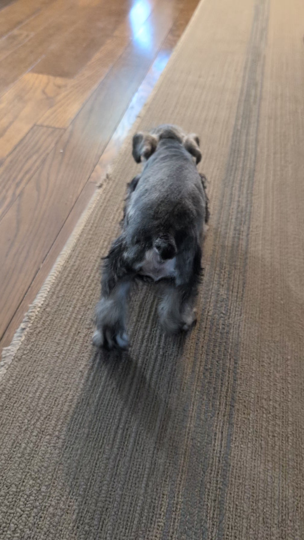 Load video: 