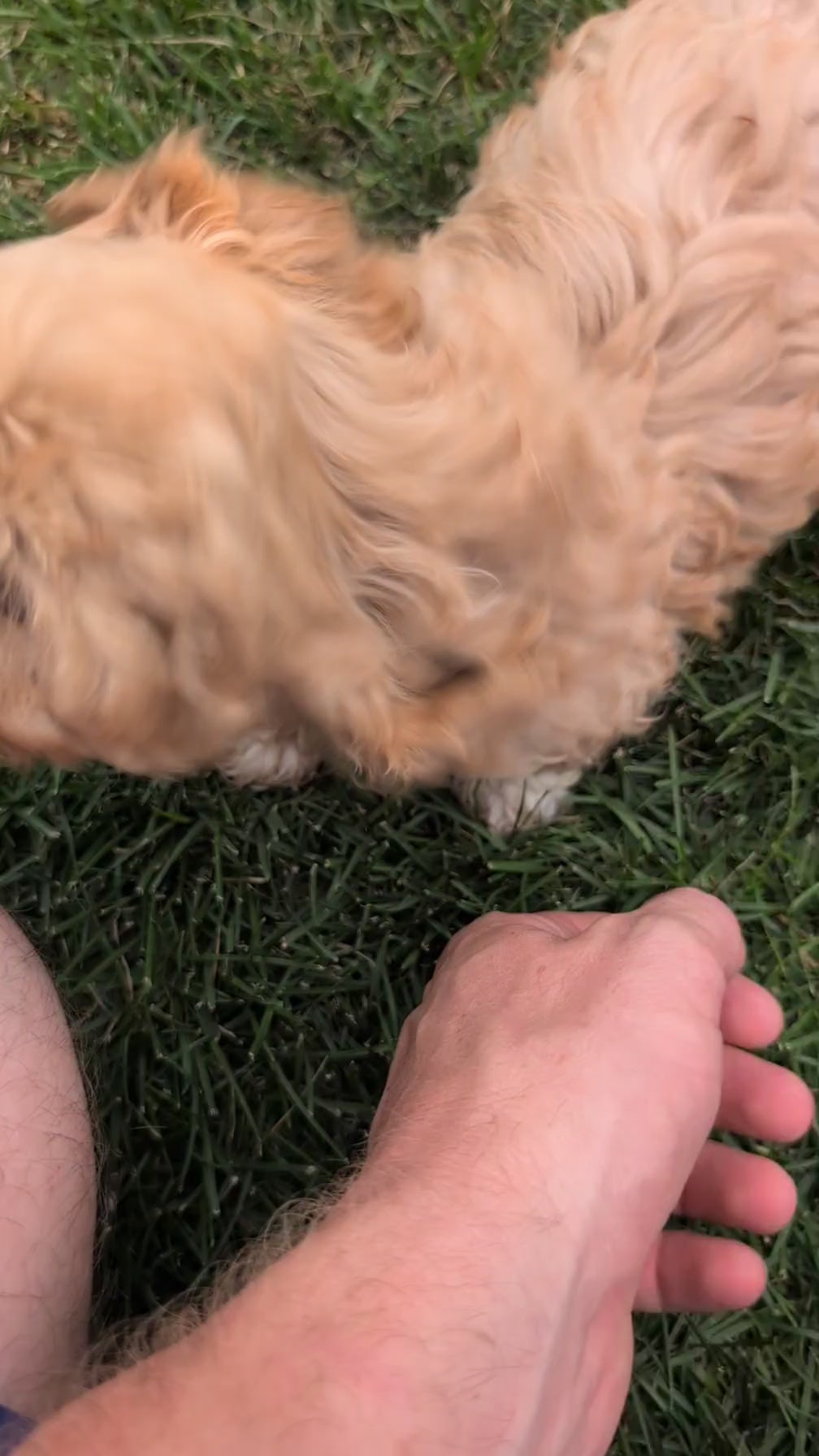 Load video: 