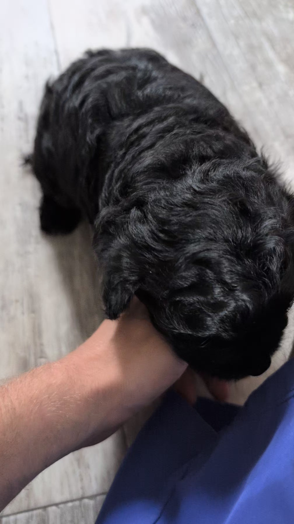 Load video: 
