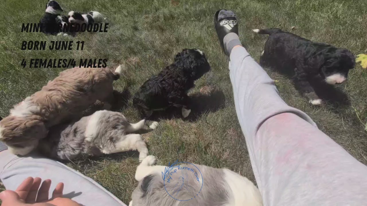Load video: 
