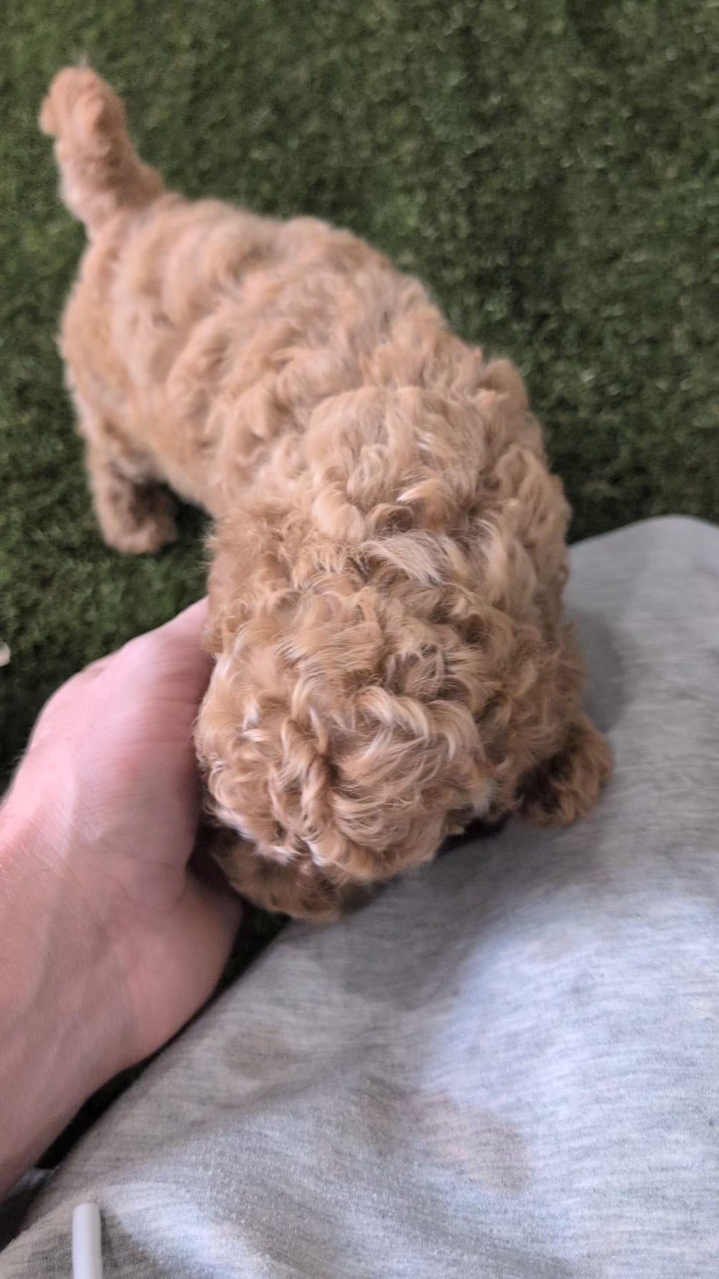 Load video: 