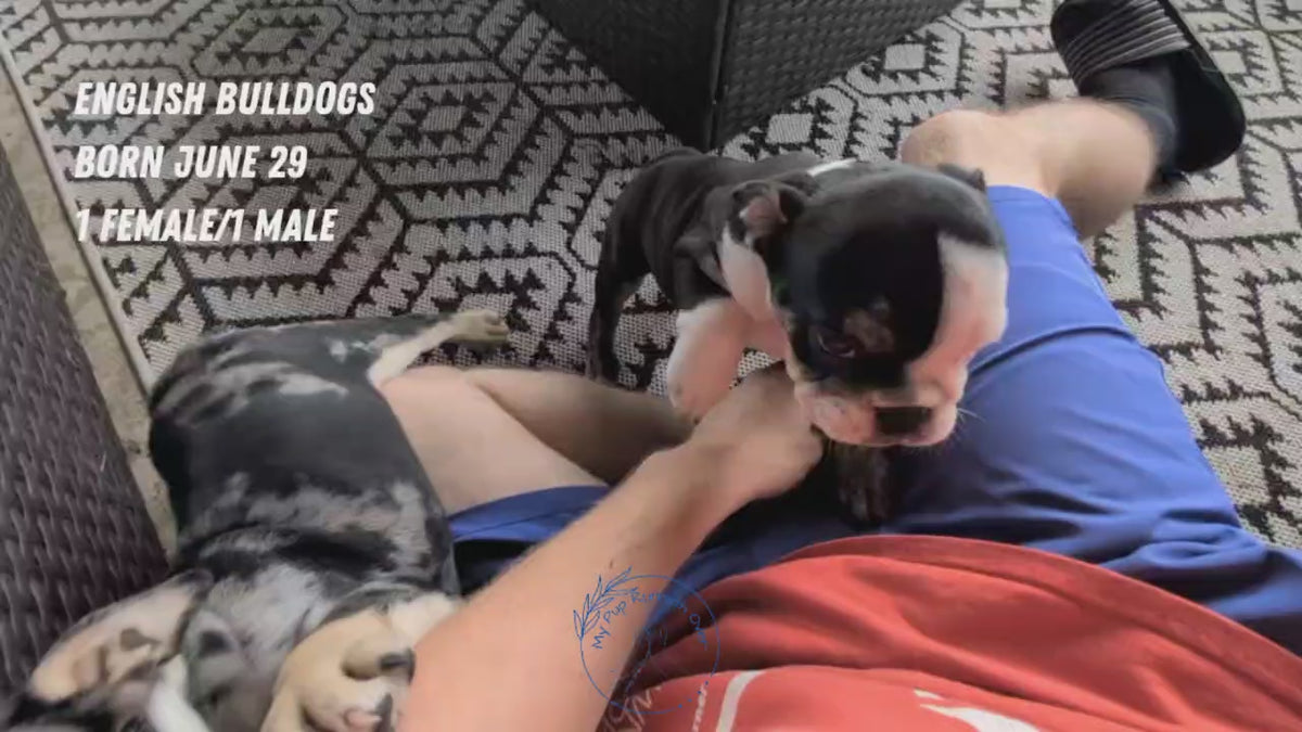Load video: 