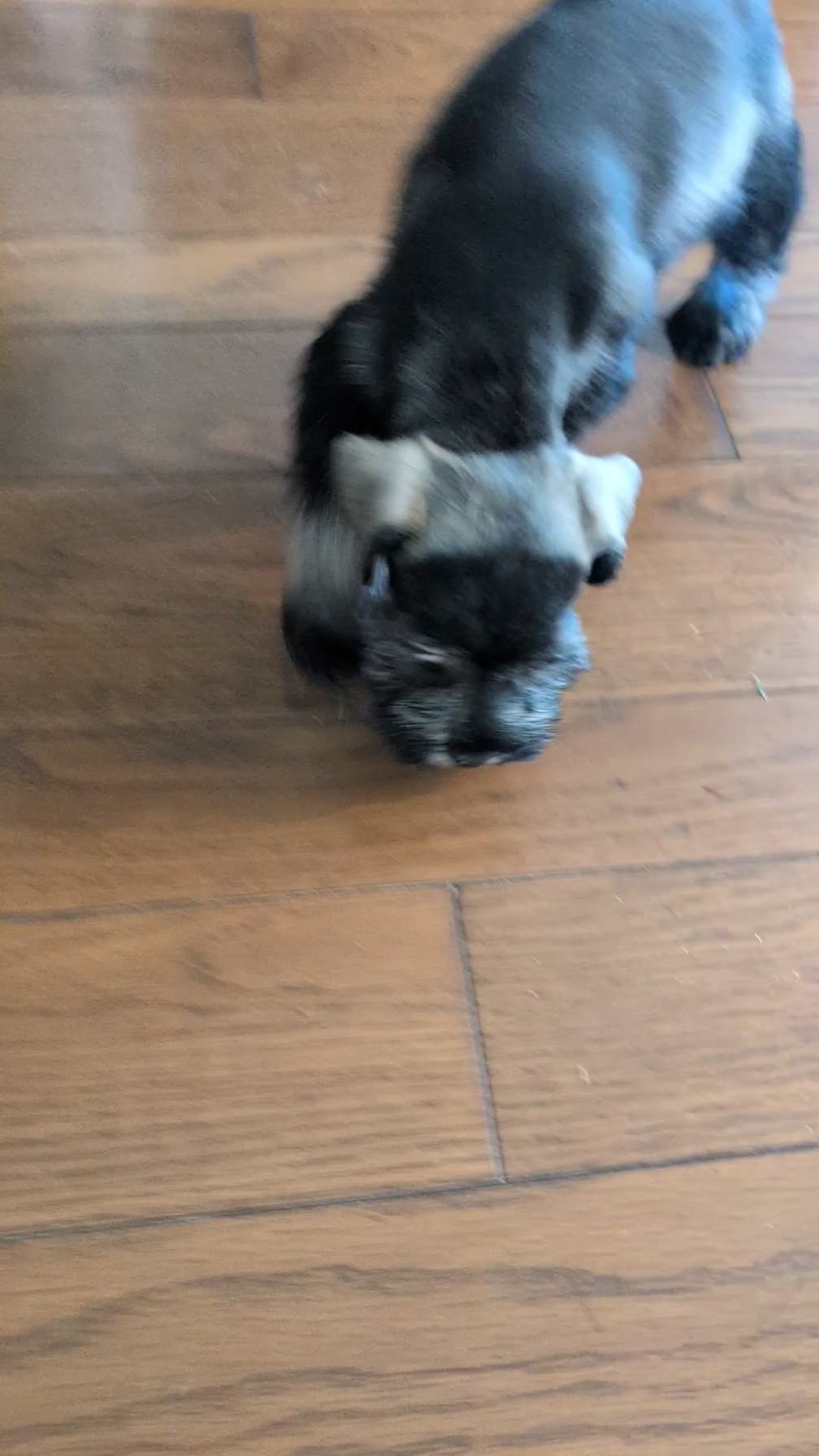 Load video: 
