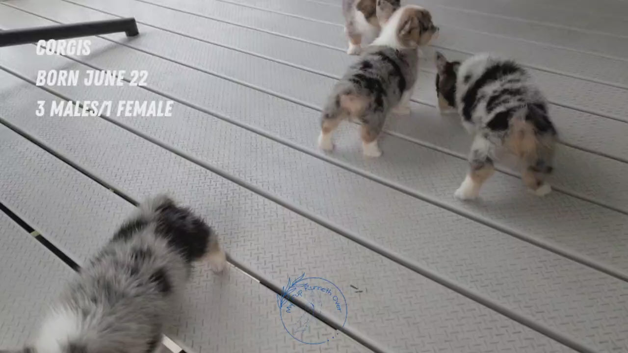 Load video: 