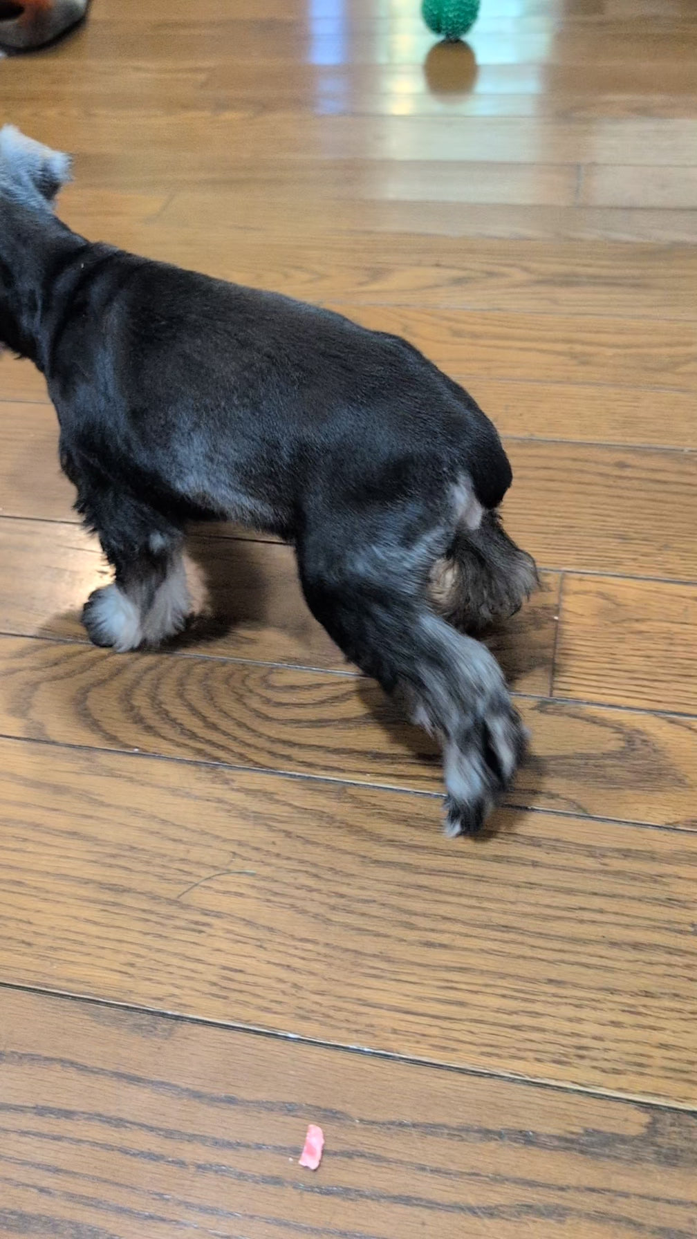 Load video: 