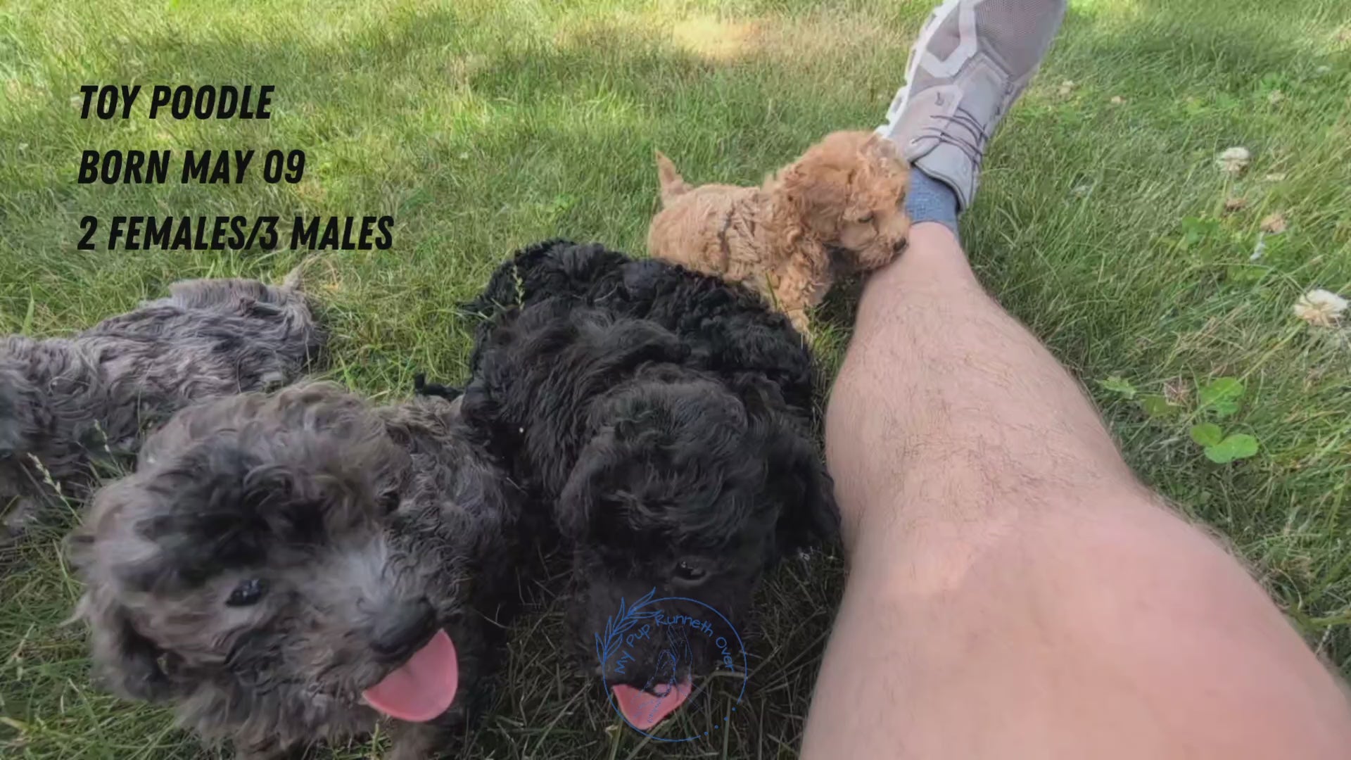 Load video: 