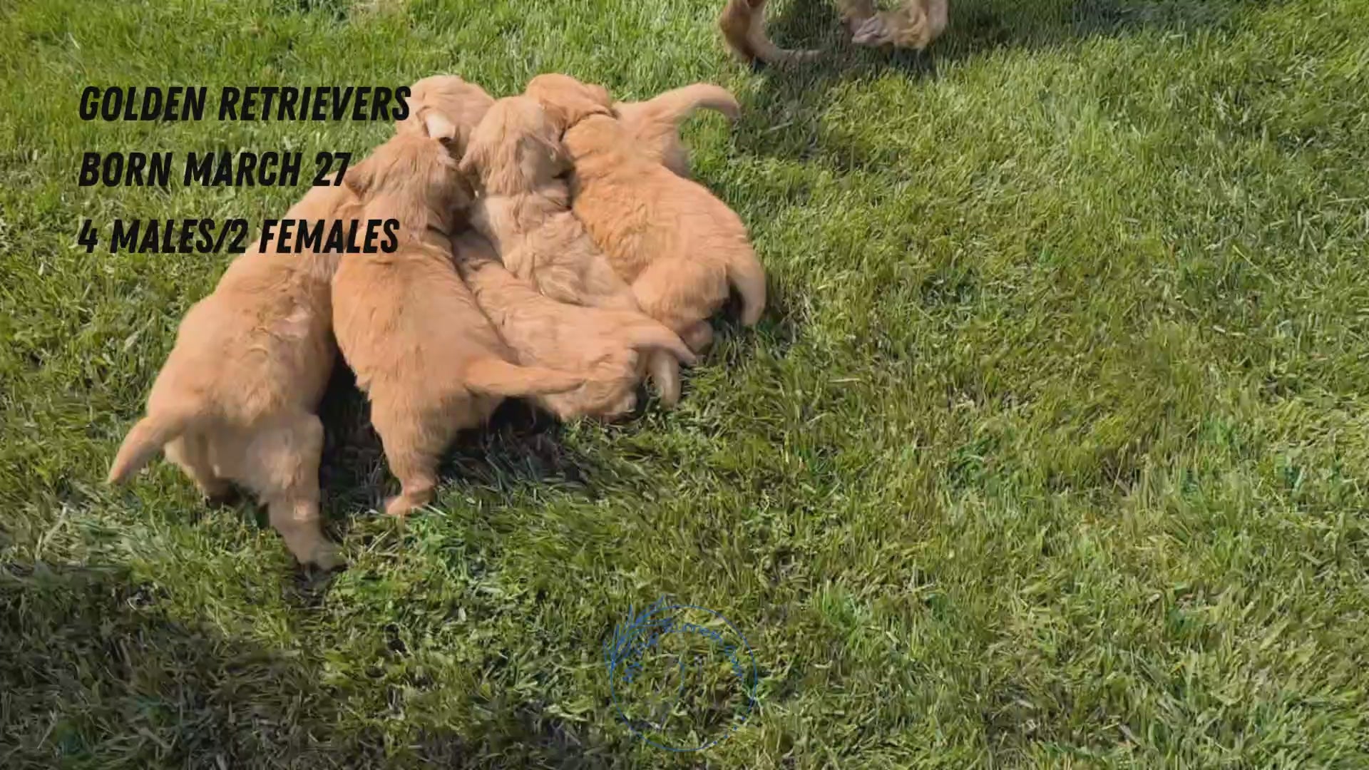 Load video: 