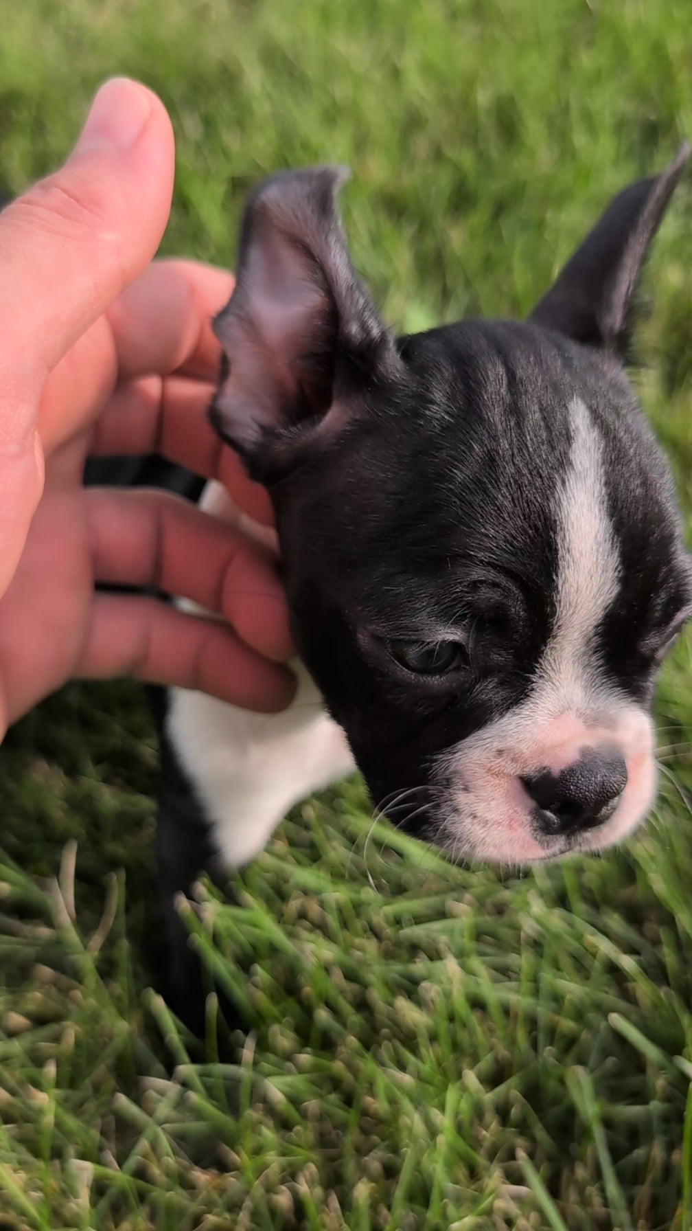 Load video: 