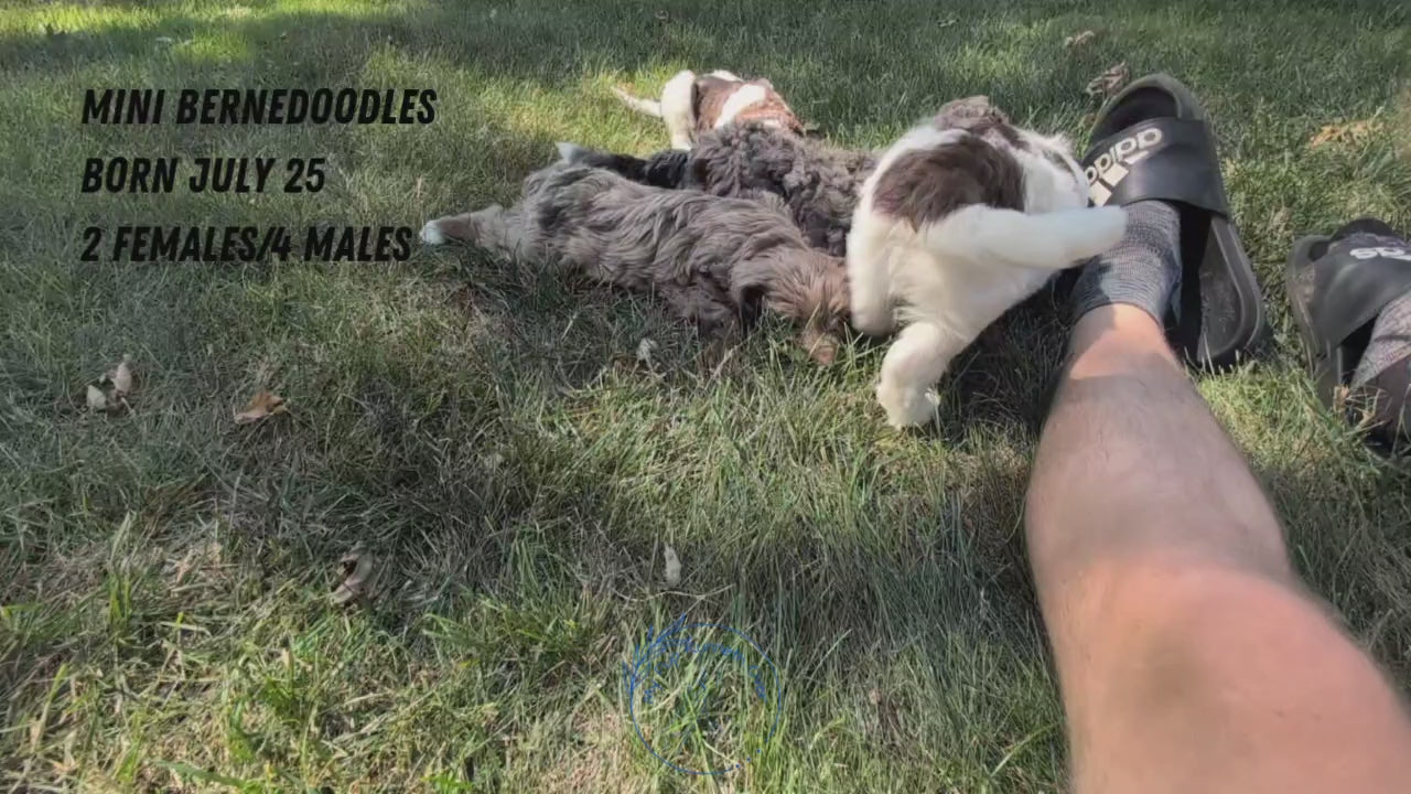 Load video: 