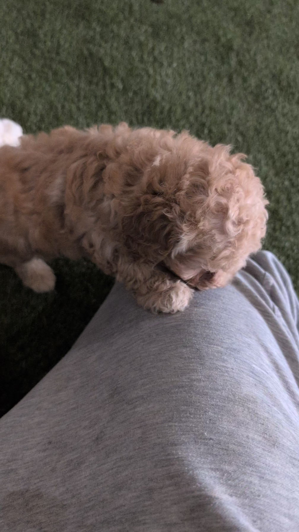 Load video: 