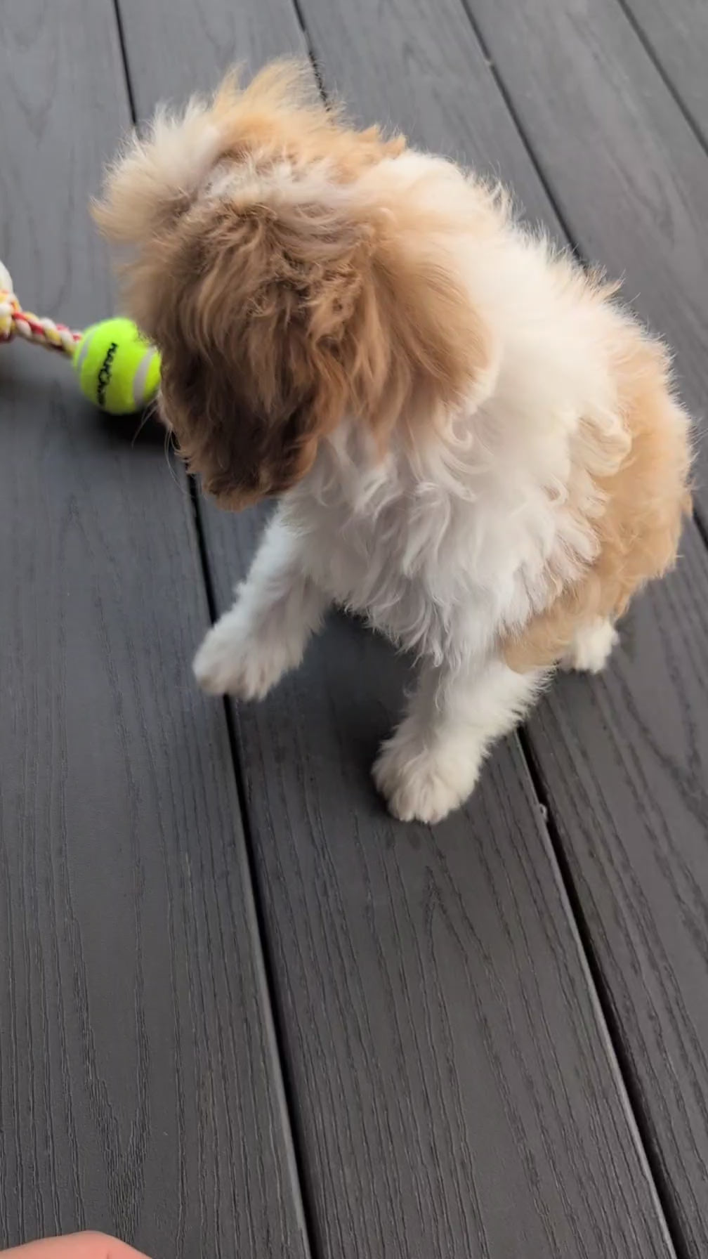 Load video: 