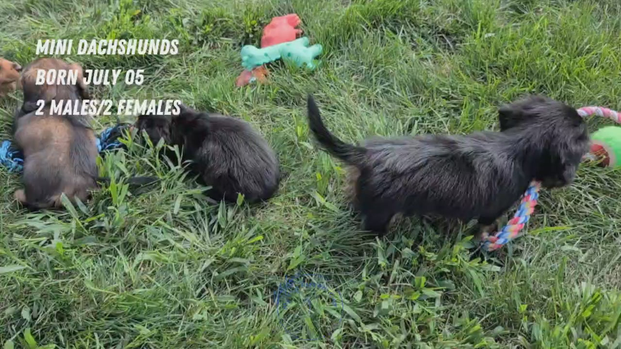 Load video: 