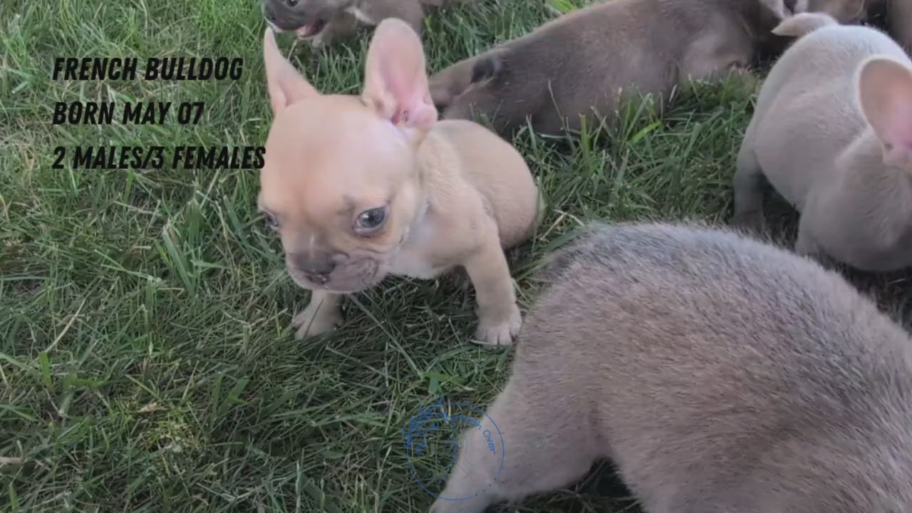 Load video: 