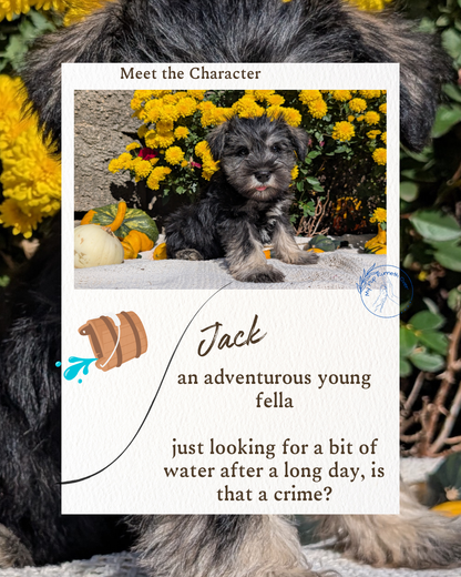 MINI SCHNAUZER (08/21) MALE